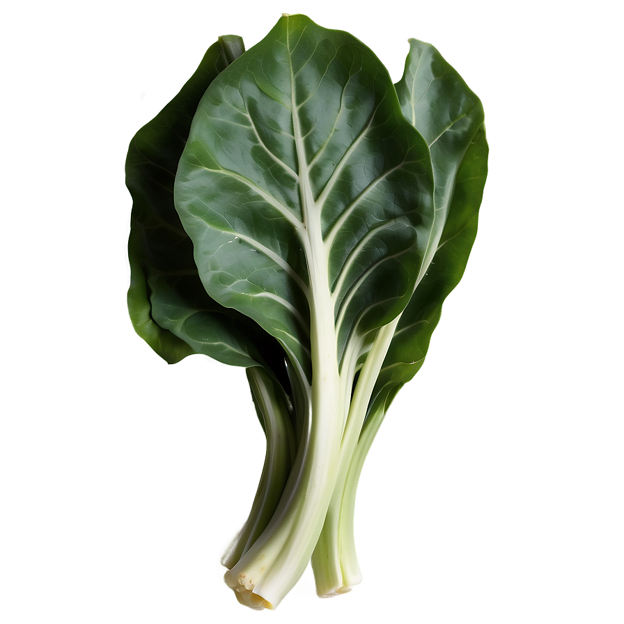 Collard Greens Drawing Png Lln PNG Image