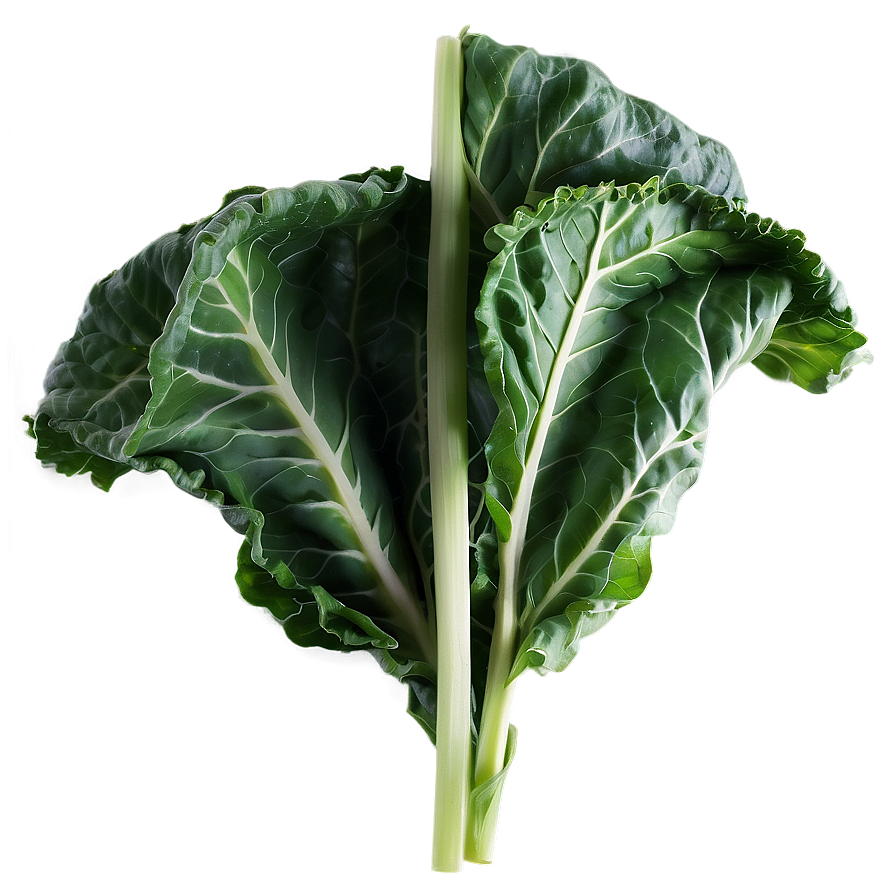 Collard Greens Drawing Png Pom PNG Image