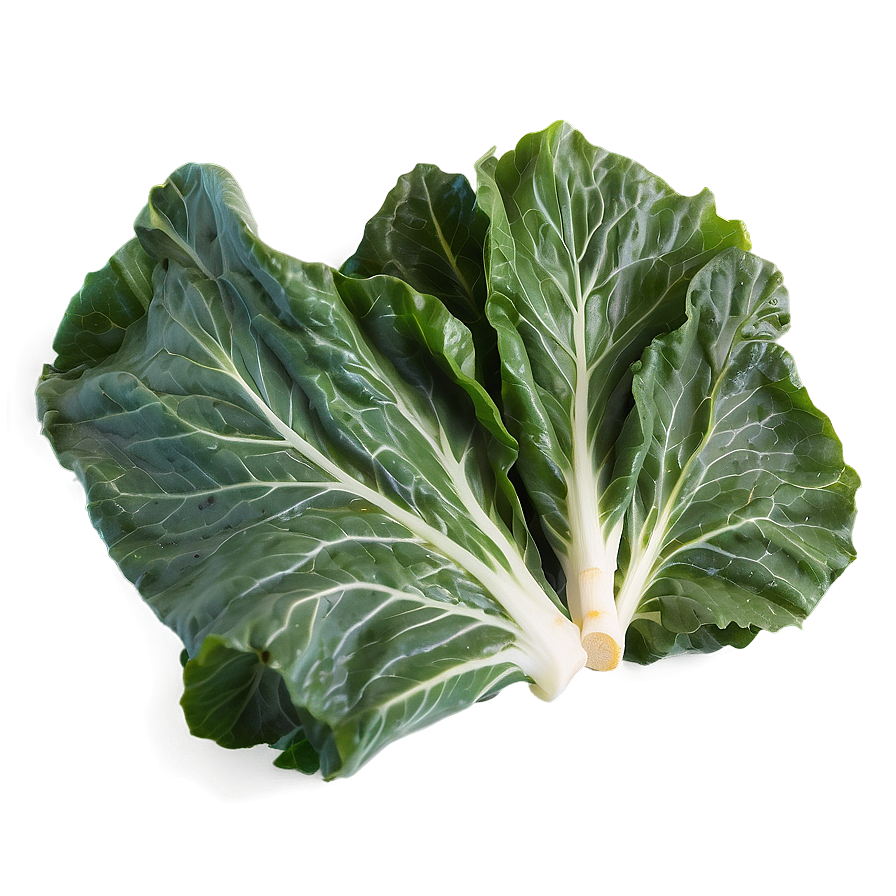 Collard Greens Icon Png 06252024 PNG Image