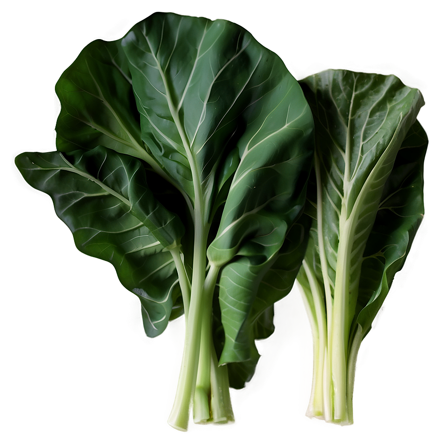 Collard Greens Illustration Png 06252024 PNG Image