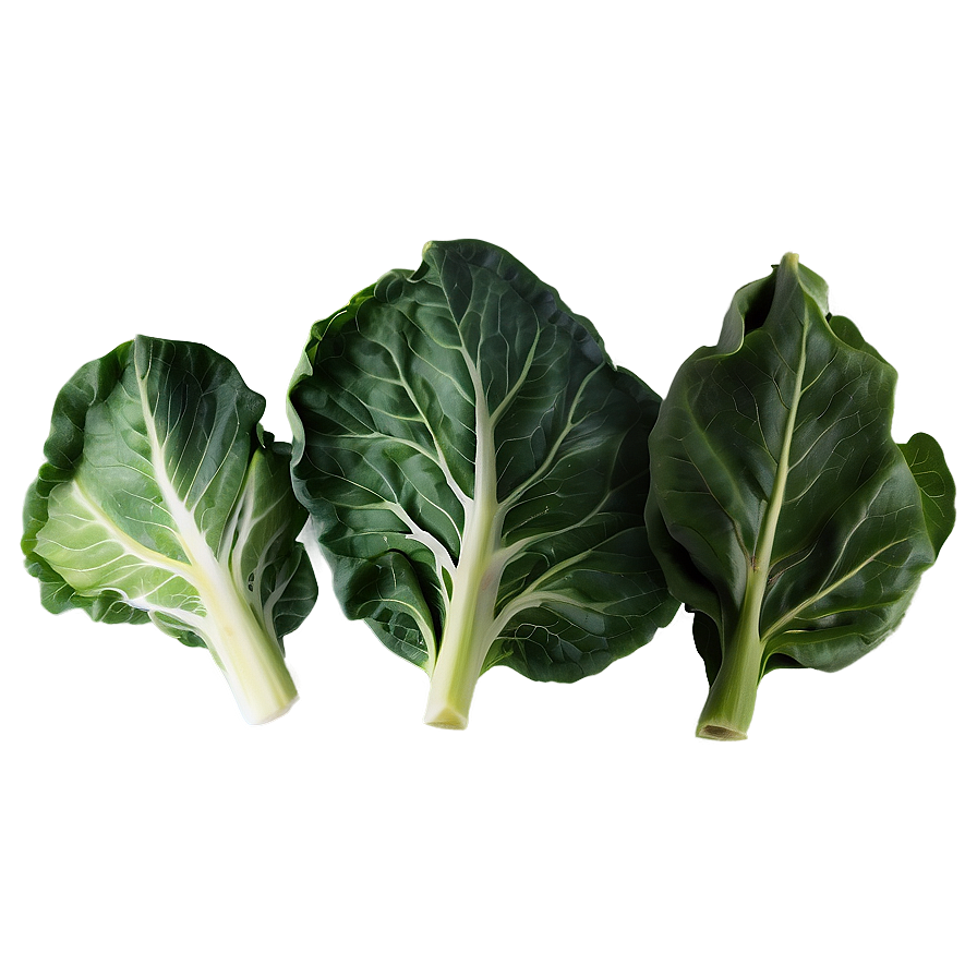 Collard Greens Illustration Png 06252024 PNG Image