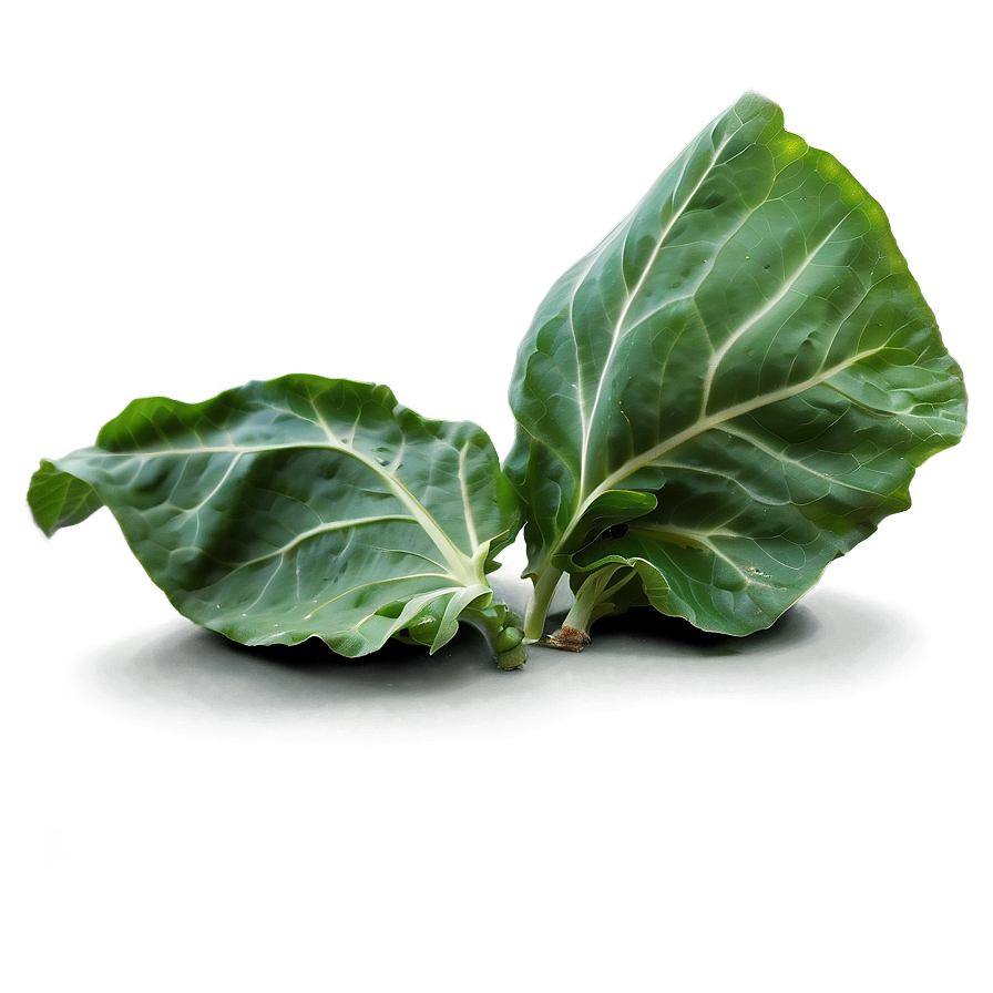 Collard Greens Leaves Png Rmb PNG Image