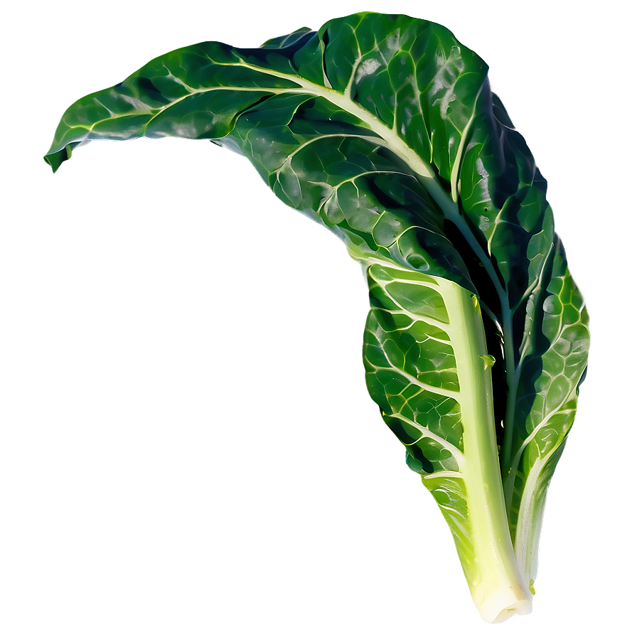 Collard Greens Salad Png Nek PNG Image