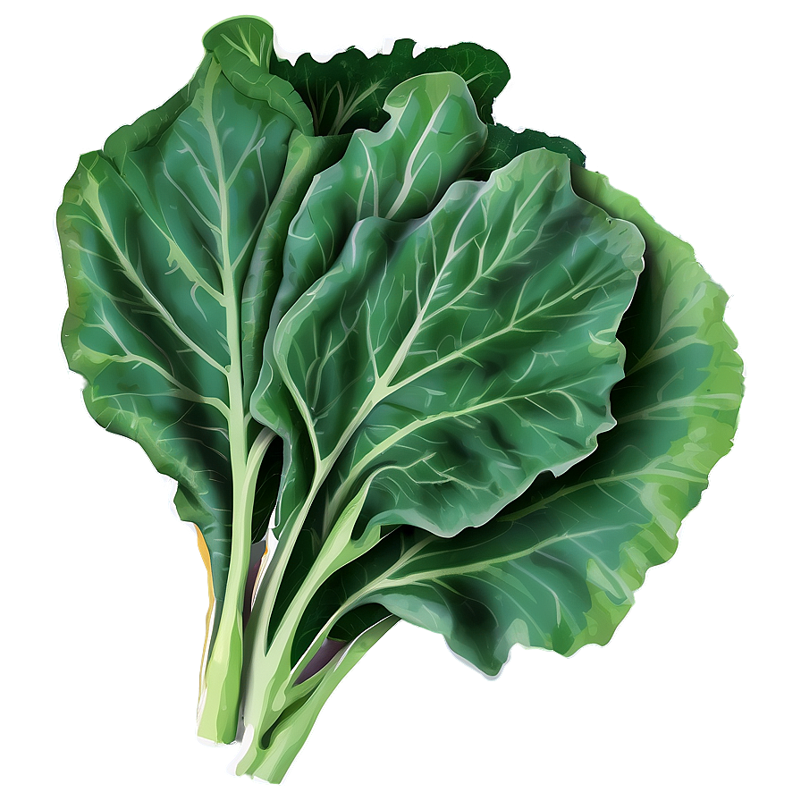 Collard Greens Vector Png Gpn PNG Image