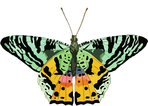 Colorful_ Abstract_ Butterfly_ Art PNG Image