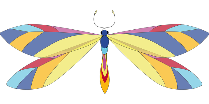 Colorful Abstract Butterfly Illustration PNG Image