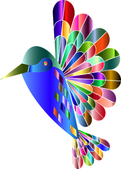 Colorful Abstract Hummingbird Art PNG Image