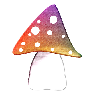 Colorful Abstract Mushroom Art PNG Image