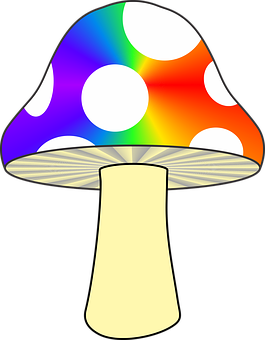 Colorful Abstract Mushroom PNG Image