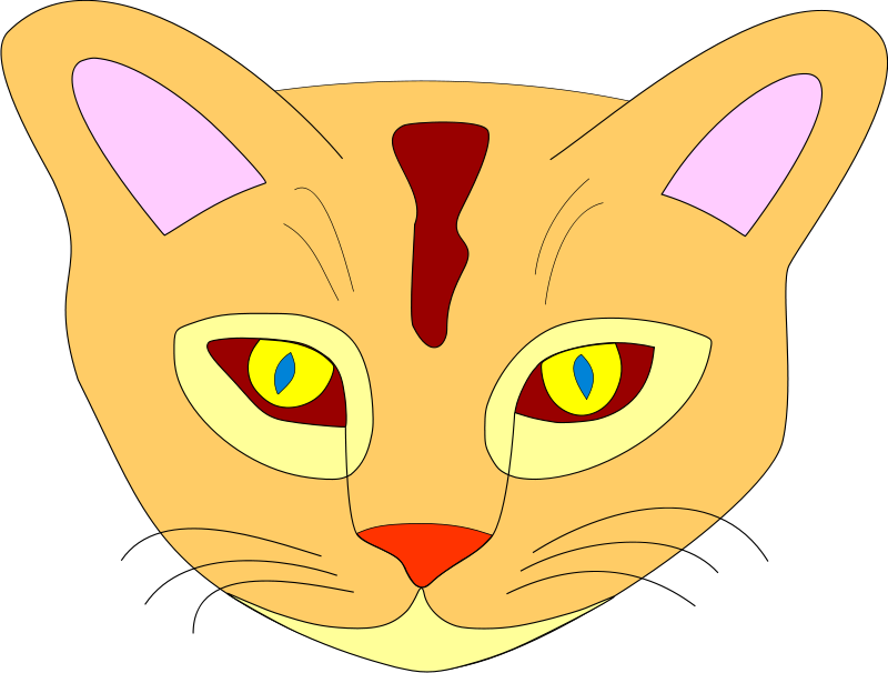 Colorful Animated Cat Face PNG Image