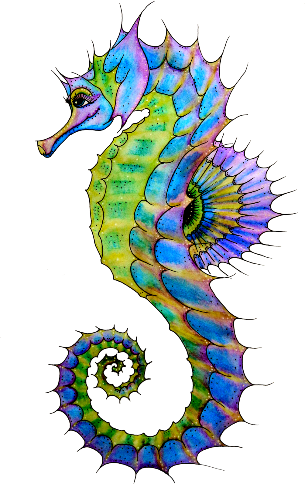 Colorful Artistic Seahorse Illustration PNG Image