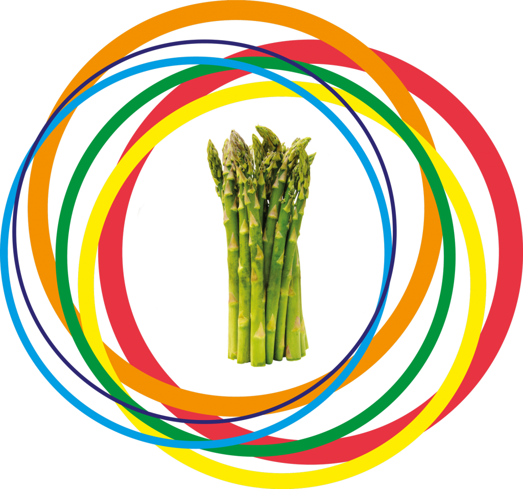 Colorful Asparagus Swirls PNG Image