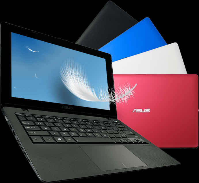 Colorful Asus Laptops Display PNG Image