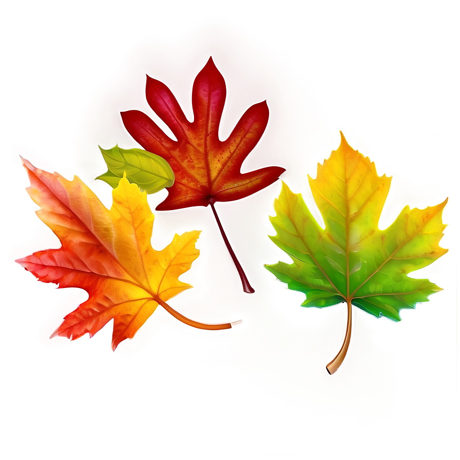 Colorful Autumn Leaves Png Ggk50 PNG Image