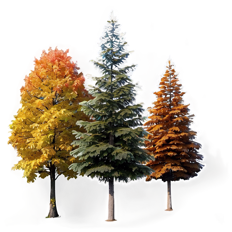 Colorful Autumn Trees Lineup Png 06212024 PNG Image