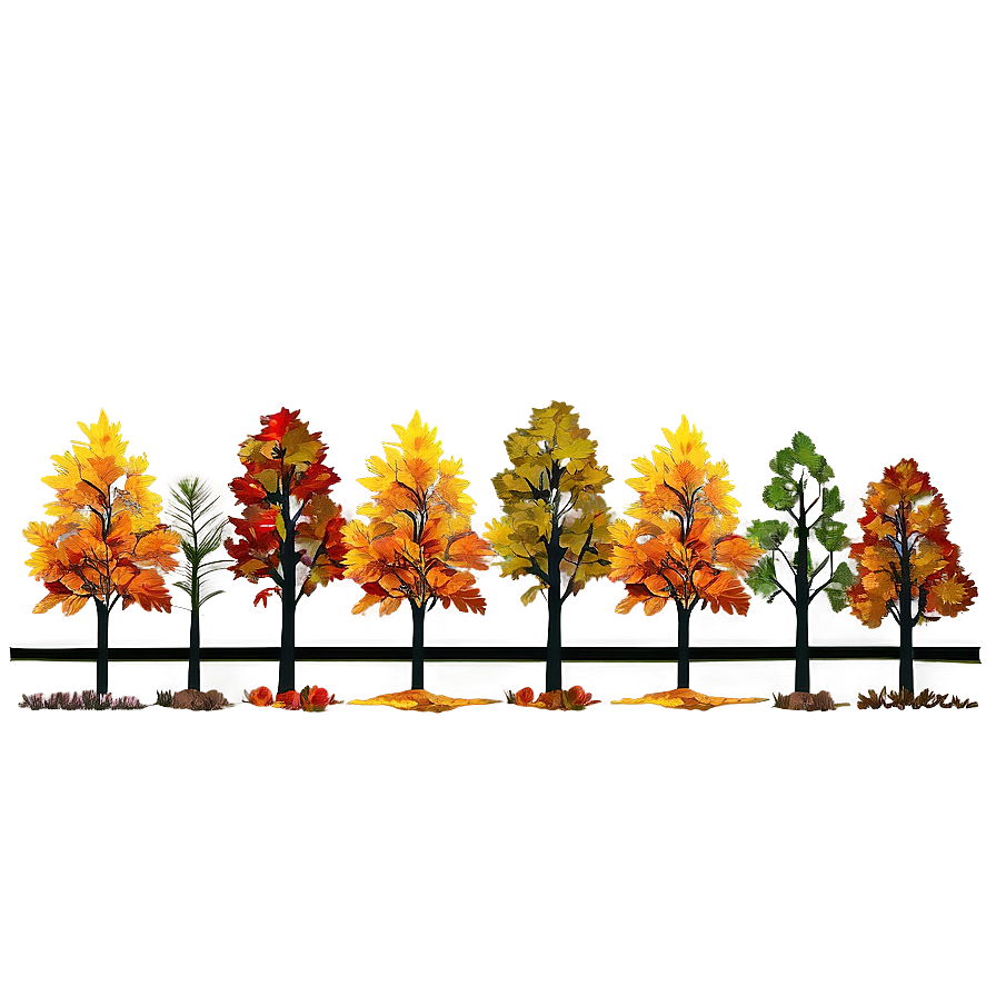 Colorful Autumn Trees Lineup Png 06212024 PNG Image