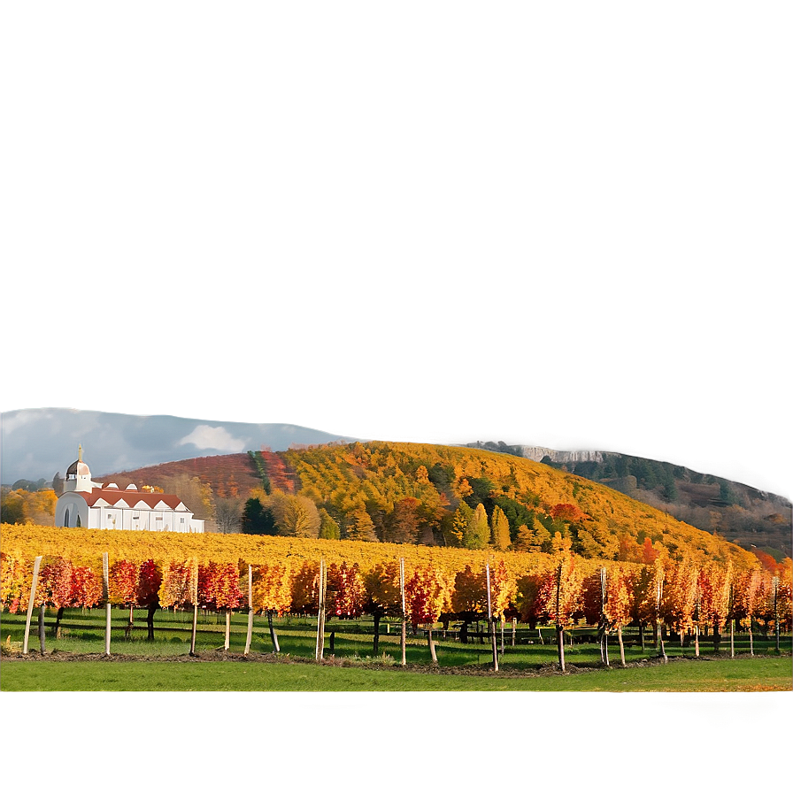 Colorful Autumn Vineyard Landscape Png 06232024 PNG Image