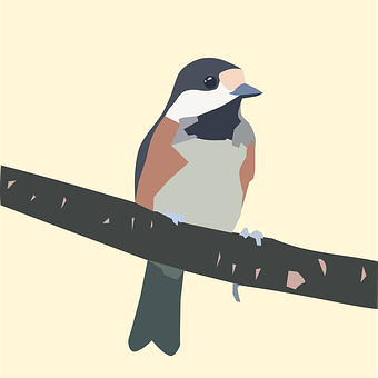 Colorful Bird Illustration PNG Image