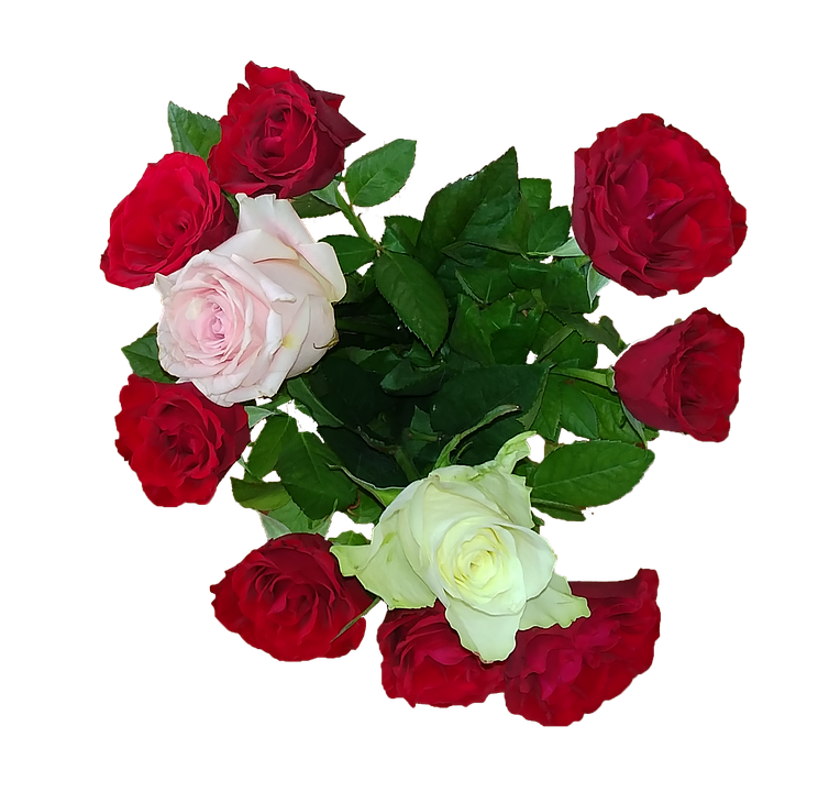 Colorful Bouquetof Roses PNG Image