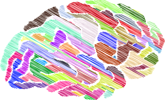 Colorful Brain Artwork PNG Image