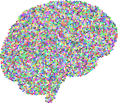 Colorful Brain Connectome Representation PNG Image