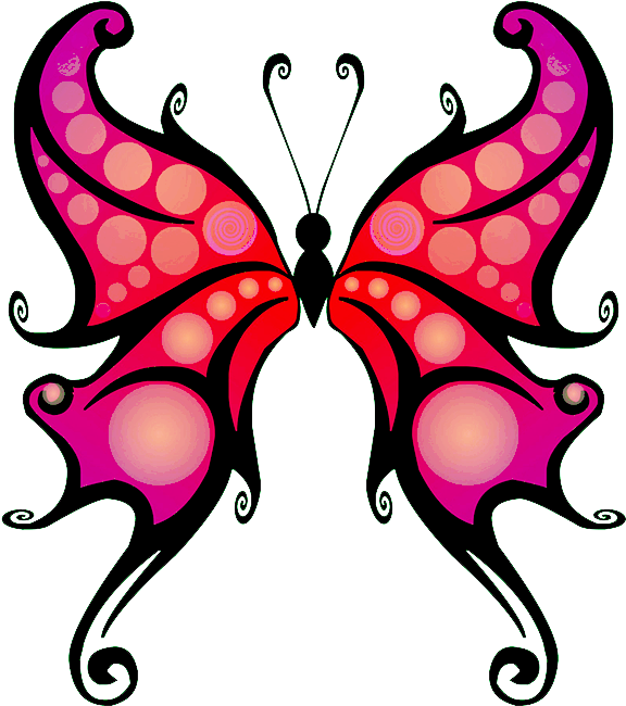 Colorful Butterfly Graphic PNG Image