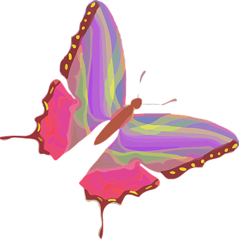 Colorful Butterfly Illustration PNG Image