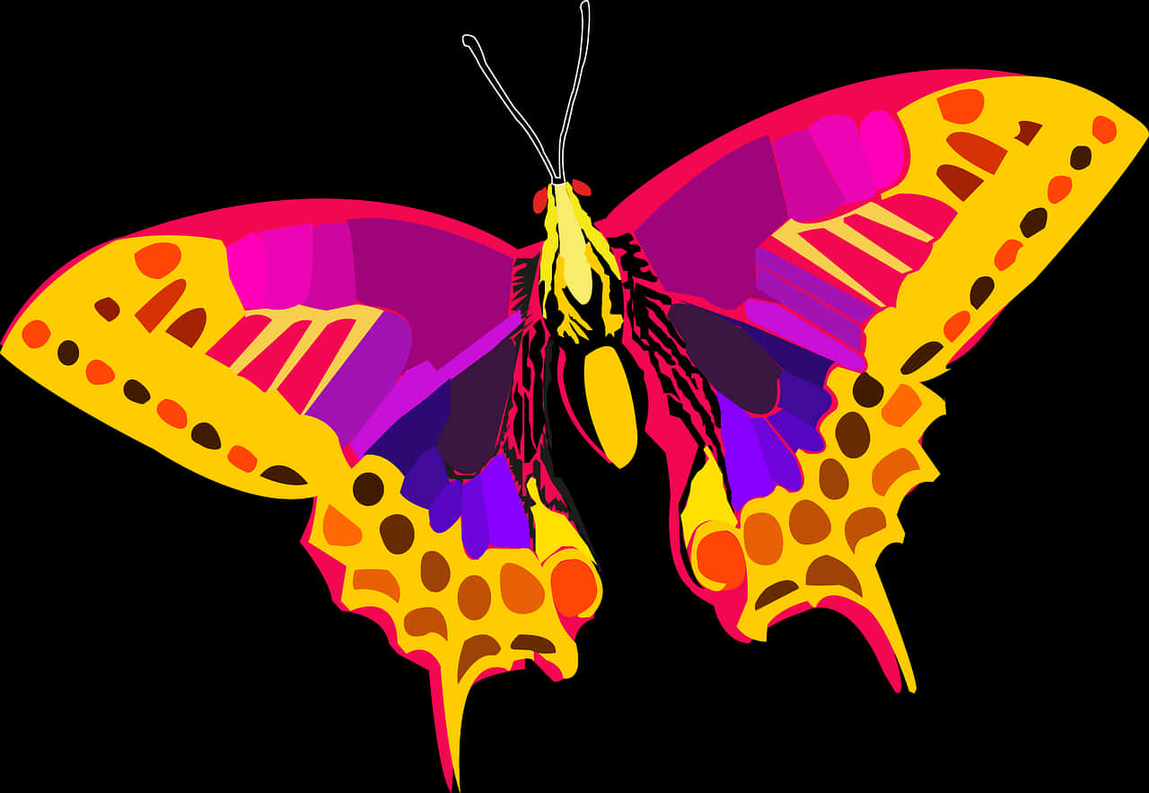 Colorful Butterfly Illustration PNG Image