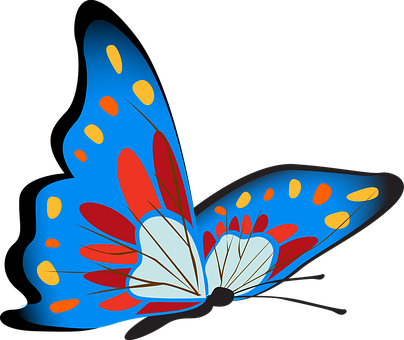 Colorful Butterfly Illustration PNG Image