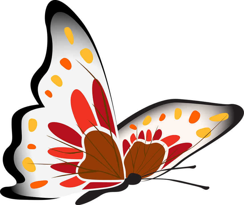 Colorful Butterfly Illustration PNG Image