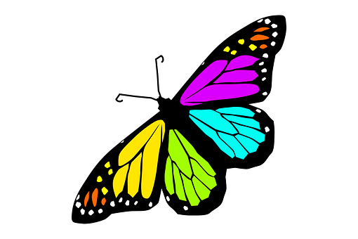 Colorful Butterfly Illustration PNG Image