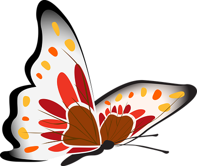 Colorful Butterfly Illustration PNG Image