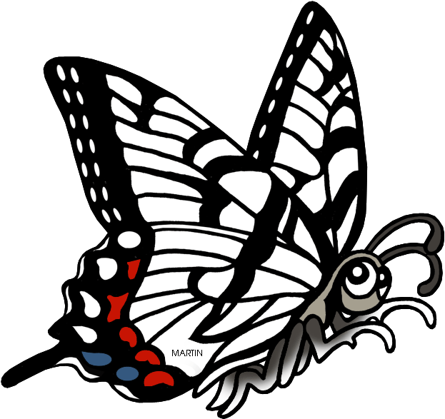 Colorful Butterfly Illustration PNG Image