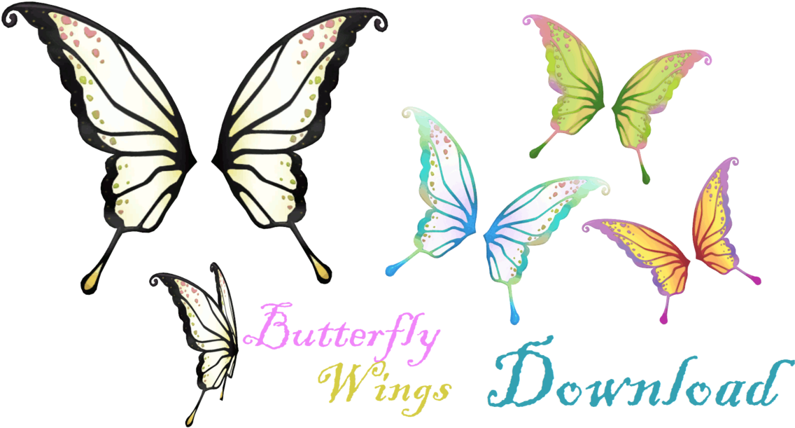 Colorful Butterfly Wings Collection PNG Image