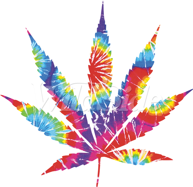 Colorful Cannabis Leaf Artwork PNG Image