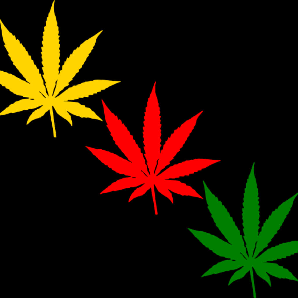 Colorful Cannabis Leaves Graphic PNG Image