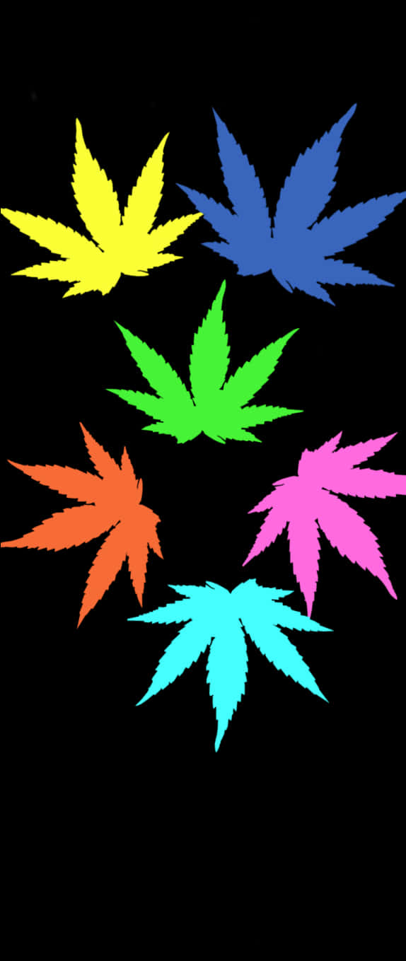 Colorful Cannabis Leaves Vector Art PNG Image