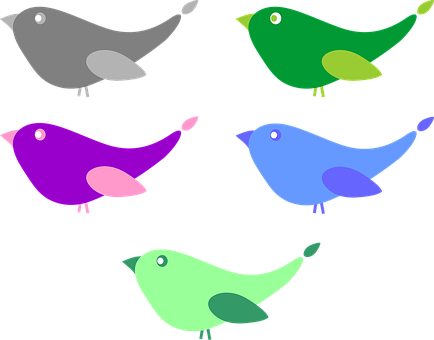 Colorful Cartoon Birds Vector Illustration PNG Image