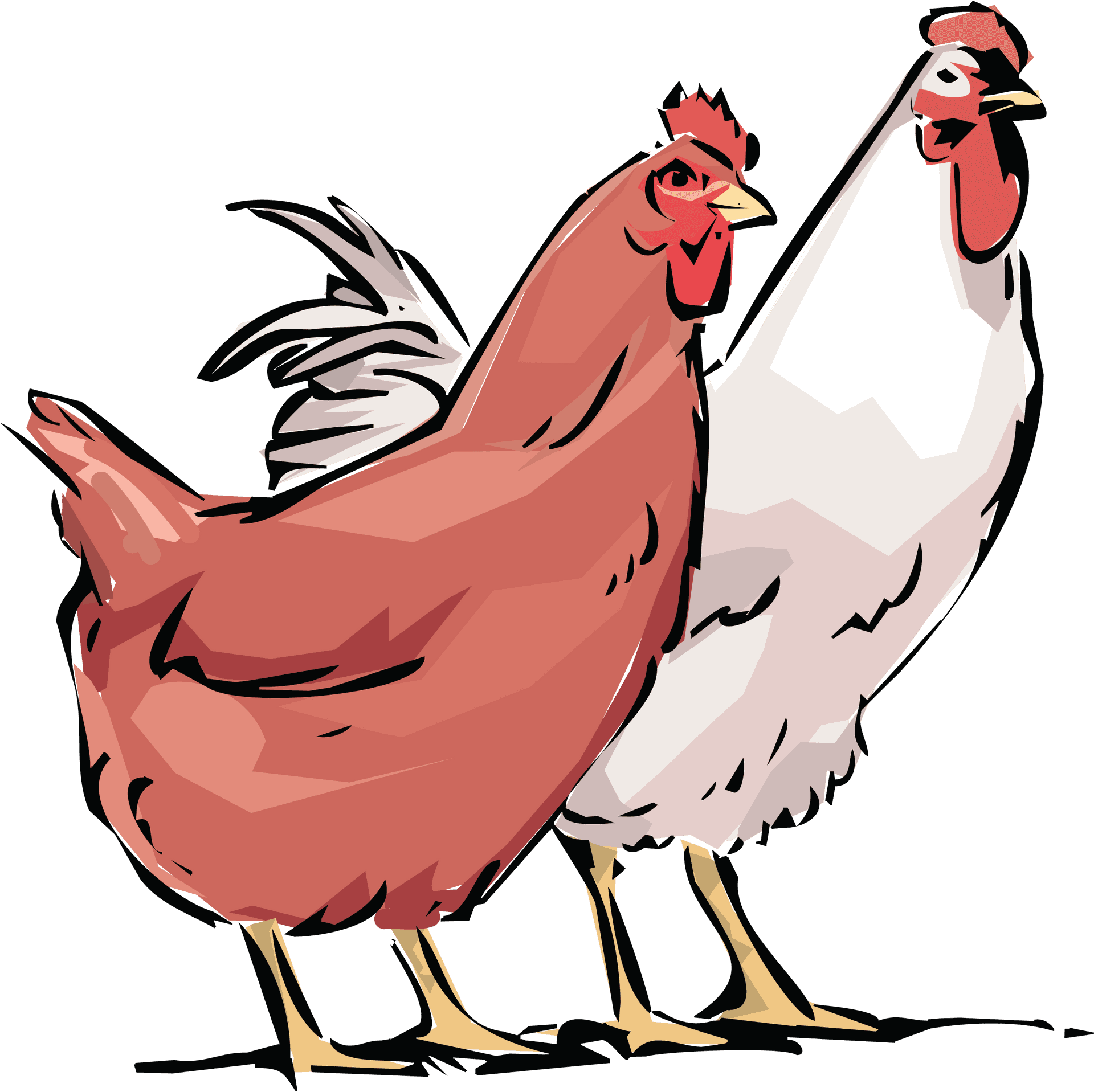 Colorful Cartoon Chickens PNG Image