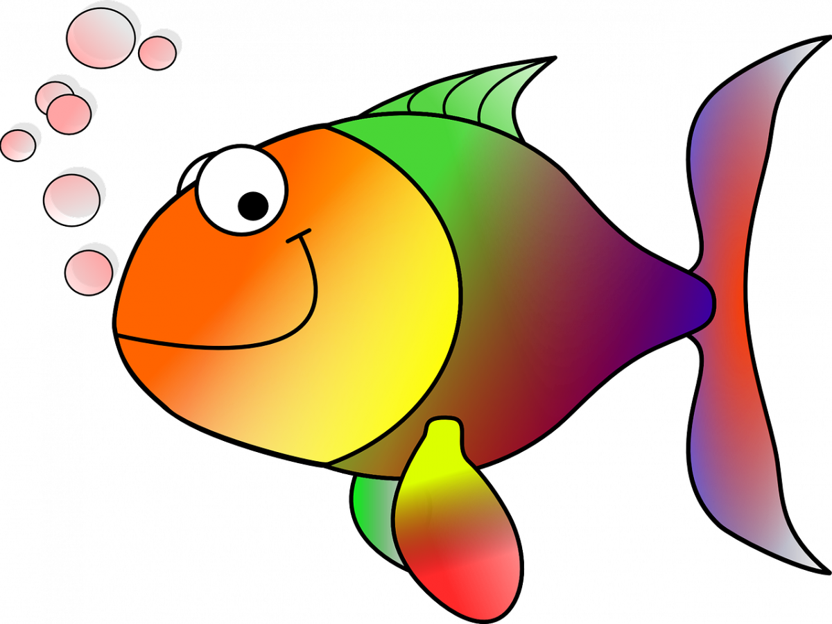 Colorful Cartoon Goldfish PNG Image