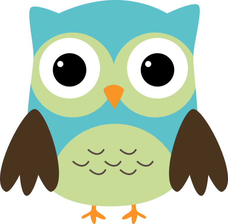 Colorful Cartoon Owl Illustration PNG Image