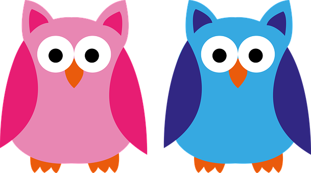 Colorful Cartoon Owls Illustration PNG Image