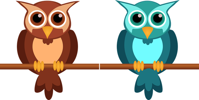 Colorful Cartoon Owls Perching PNG Image