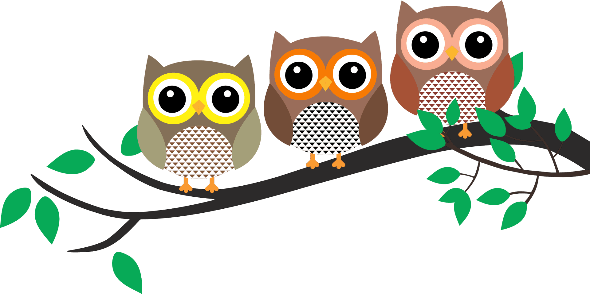 Colorful Cartoon Owlson Branch PNG Image