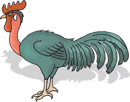 Colorful Cartoon Rooster Illustration PNG Image