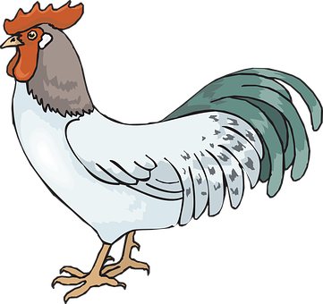 Colorful Cartoon Rooster Illustration PNG Image