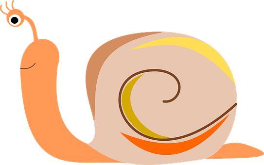 Colorful Cartoon Snail PNG Image