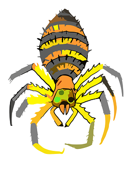 Colorful Cartoon Spider PNG Image