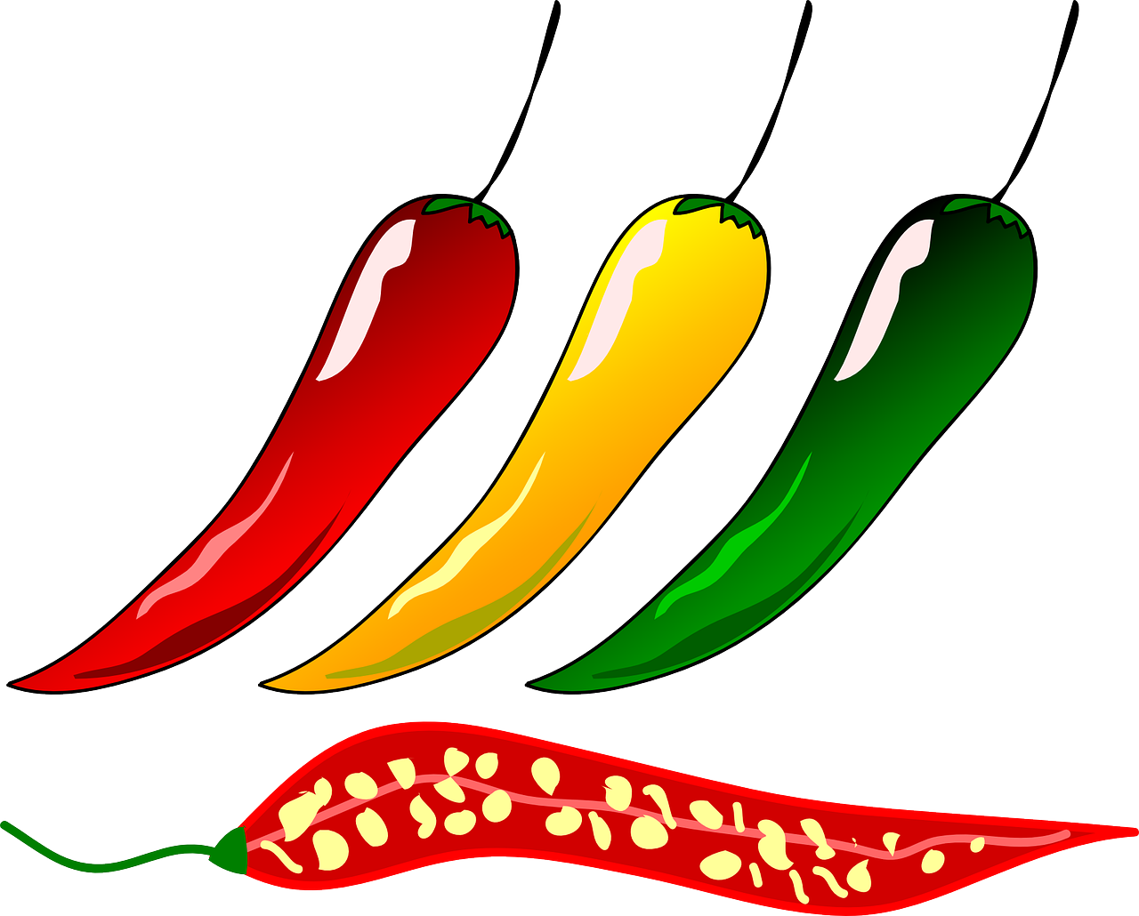 Colorful Chili Peppers Illustration PNG Image