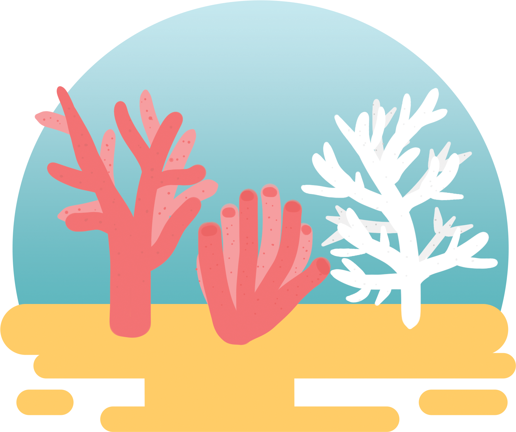 Colorful Coral Illustration PNG Image